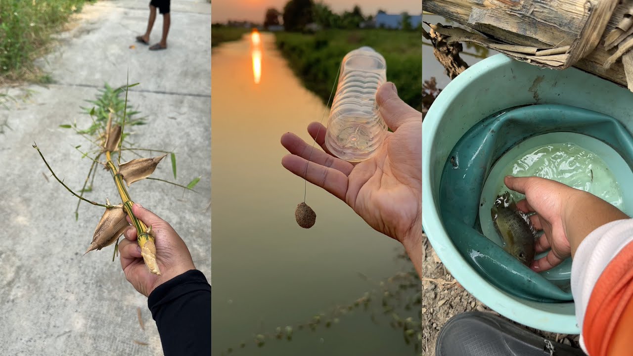 TTA - Thả Câu Chai & Nhấp Cá Rô Hiệu Quả 🎣