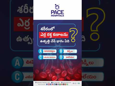 Health Quiz - శరీరంలోని ఏ భాగం ఎర్ర రక్తాన్ని ఉత్పత్తి చేస్తుంది? | RBC Production in Humans