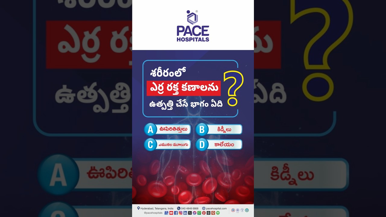శరీరంలో ఎర్ర రక్తకణాలు ఉత్పత్తి చేసే భాగం ఏది? | ఆరోగ్య క్విజ్ 🩸