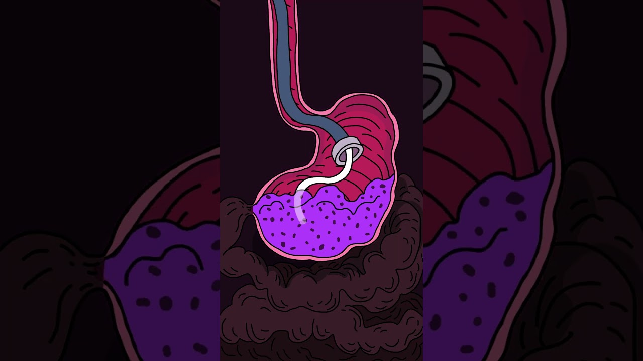 Grimace Shake & Meme Fun for Adults ๐น