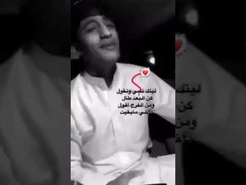 سيف عامر - ورقة (حصرياً) | 2019 | (Saif Amer - Warqa (Exclusive