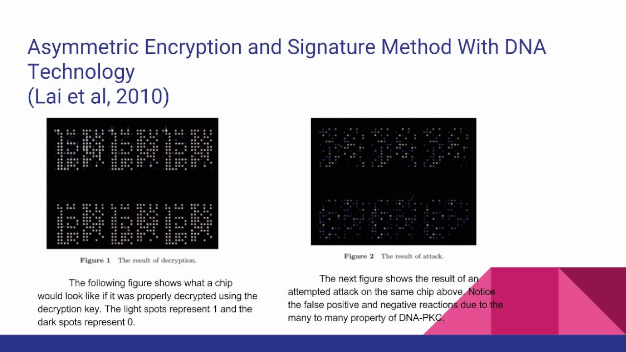 DNA Cryptography Schemes: A Comparative Analysis 🧬