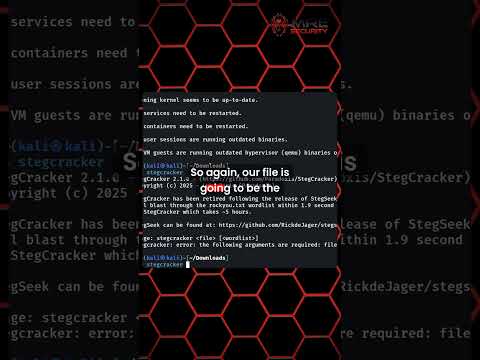 Discover Hidden Data in Images with This One Simple StegHide Trick