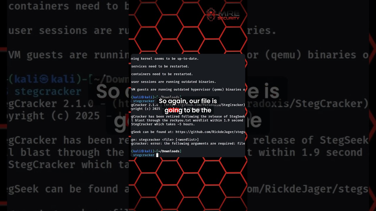 Unlock Hidden Data in Images with Steghide – Easy Step-by-Step Guide 🔍