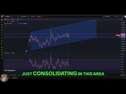 Toshi Crypto Analysis: Bullish Uptrend & Price Targets! #shorts
