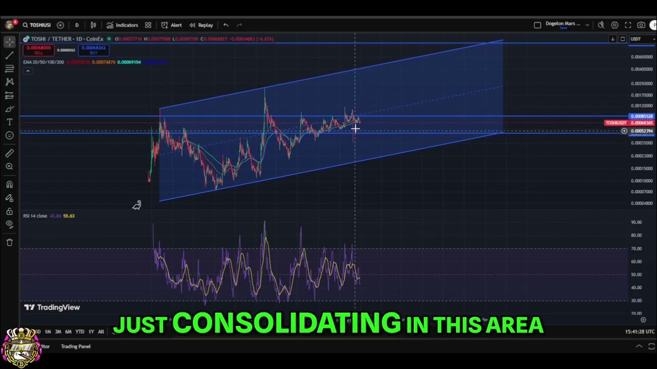 Toshi Crypto Analysis: Bullish Trends and Price Targets