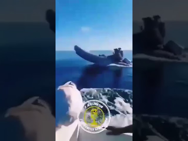 🔥 7ar9a in Tunis Bizerte