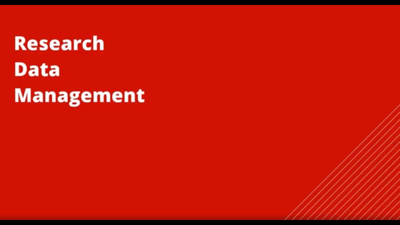 Research Data Management: Key Guide 📊