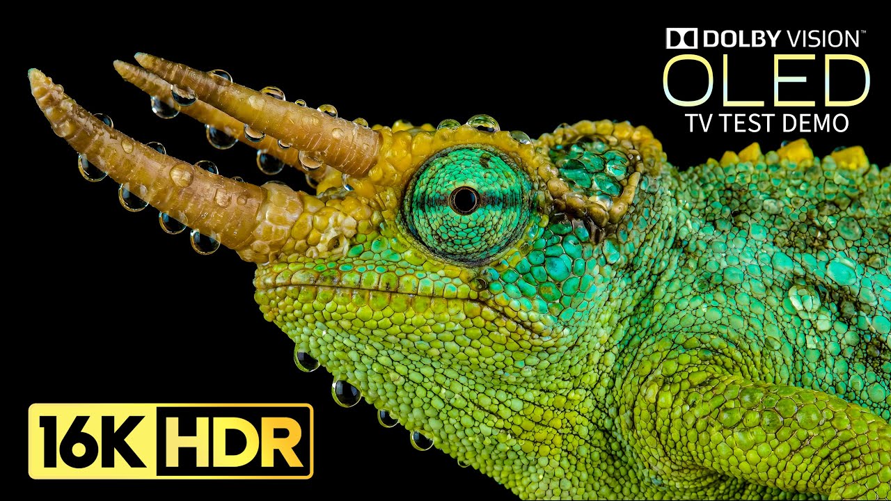 Stunning 16K Ultra HD Video with Dolby Vision & Atmos 🎥