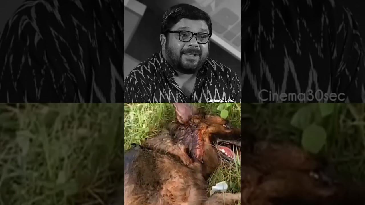 Johny Antony about CID Moosa | cid moosa movie | Dileep | Kochin Haneefa #shorts