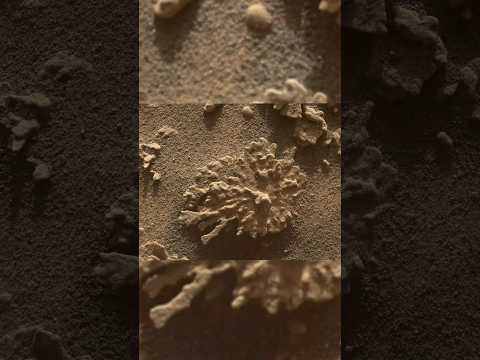 Mars Rover Curiosity SOL 4608 | quicksolutions-data #mars