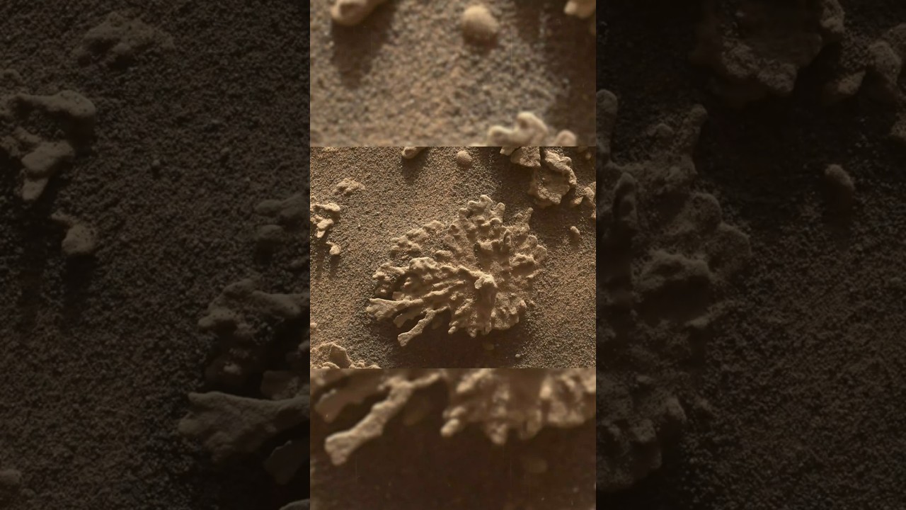 Mars Rover Curiosity SOL 4608 📸