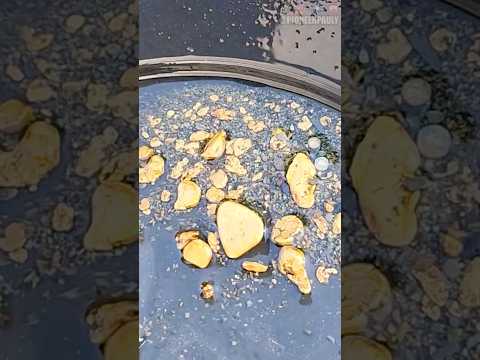 Diver Finds $1400 Of Gold In New Zealand!