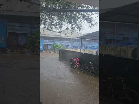 এমন দিনে তারে বলা যায় #shorts #rain #rabindrasangeet