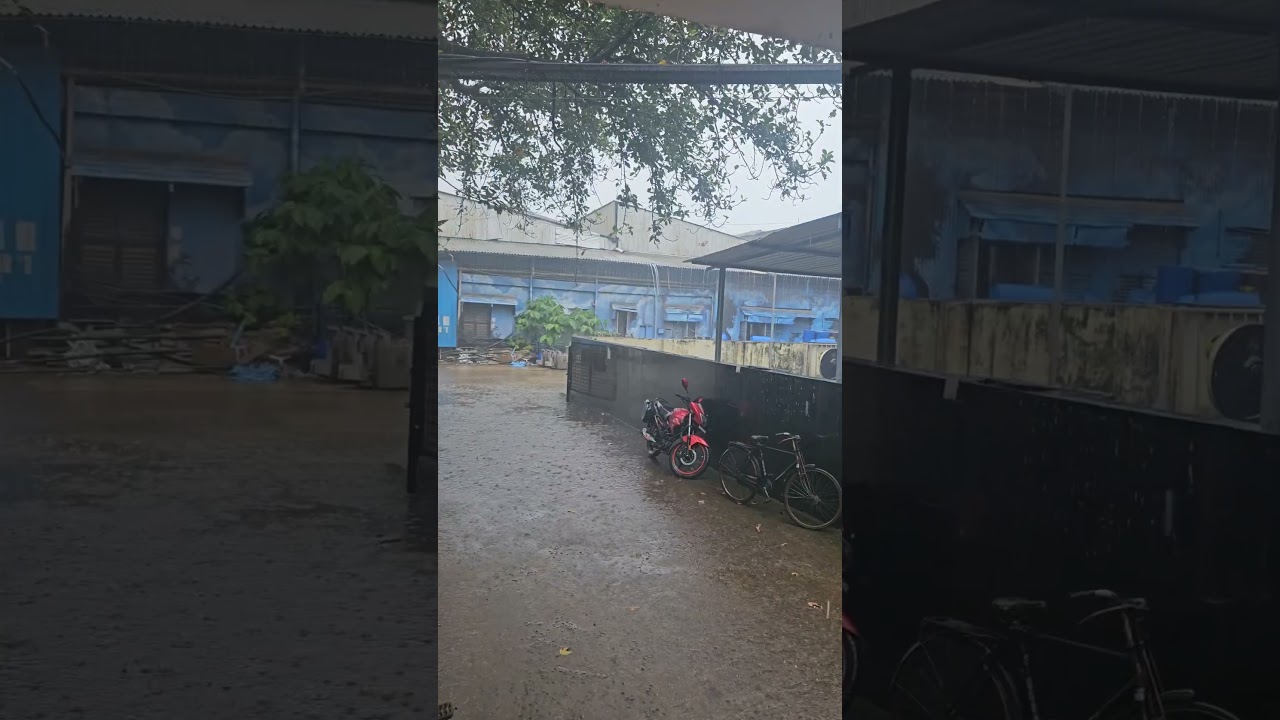 Rainy Days & Rabindrasangeet 🎶