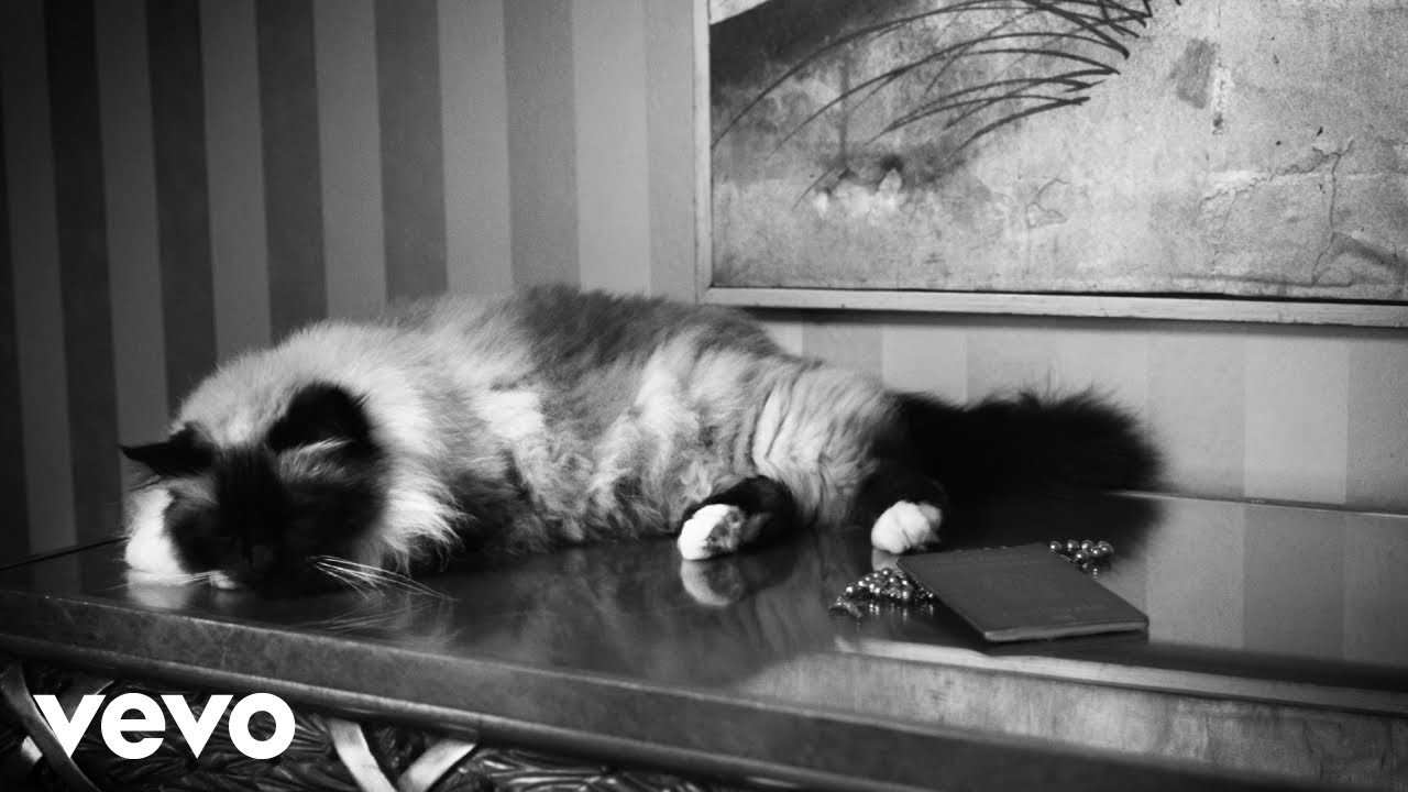 Guè - L'Amico Degli Amici (Visual) 🎶