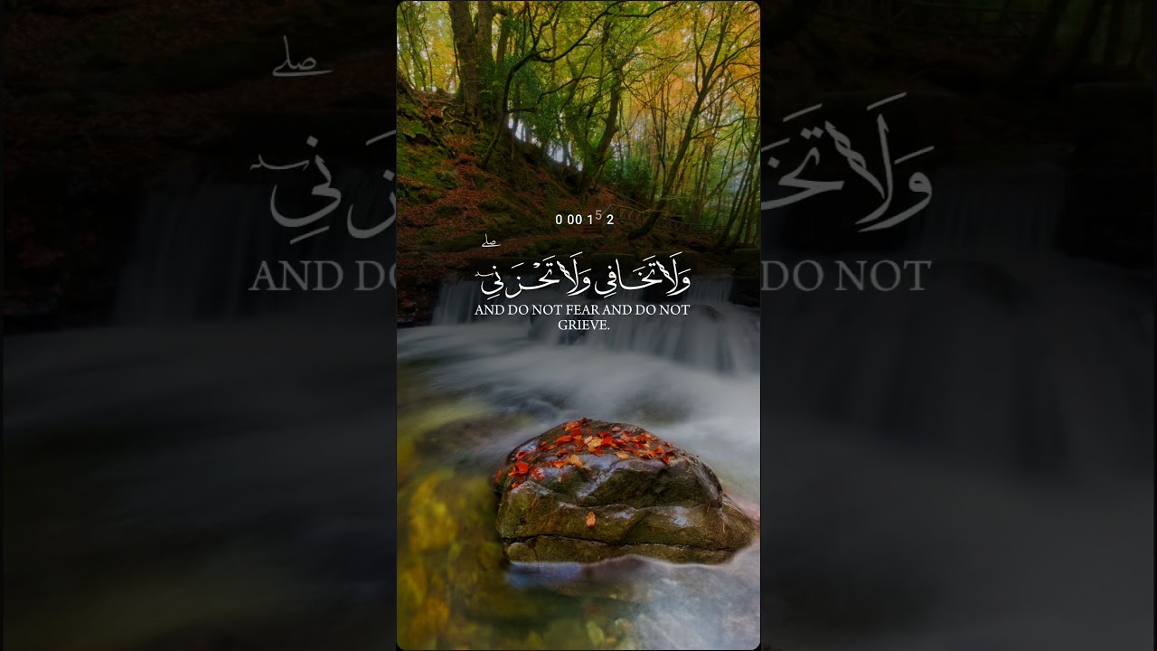 Beautiful Quran Recitation 🎶