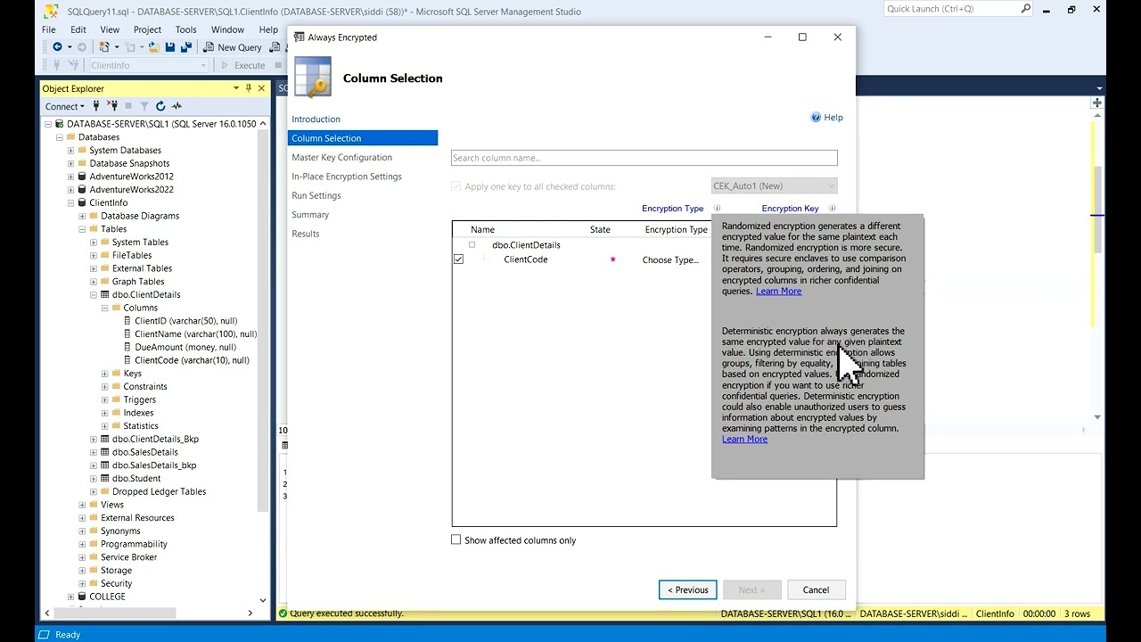 Encrypt SQL Server Column with Always Encrypted π