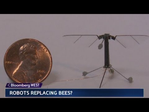 Buzz-Worthy: The World's Smallest Flying Robot