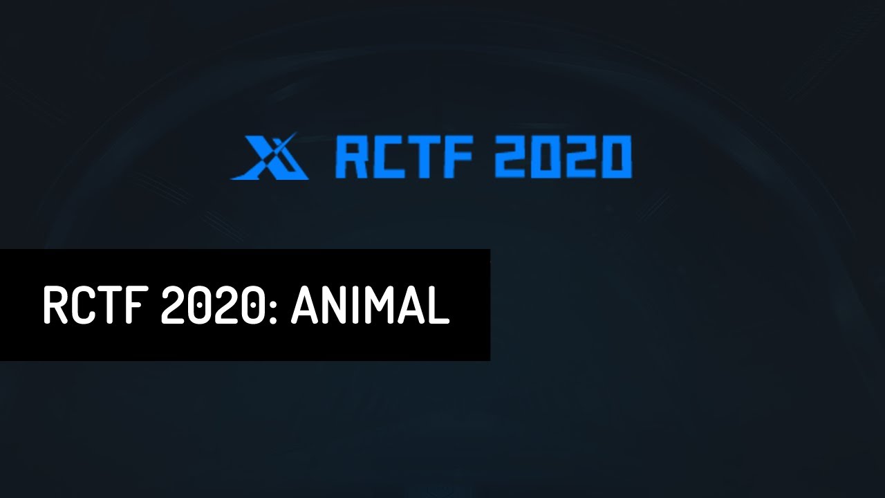 RCTF 2020 Challenge Walkthrough: Animal CTF Tasks & Solutions πΎ