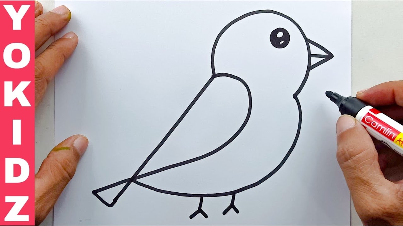 Easy Step-by-Step Guide to Drawing a Bird