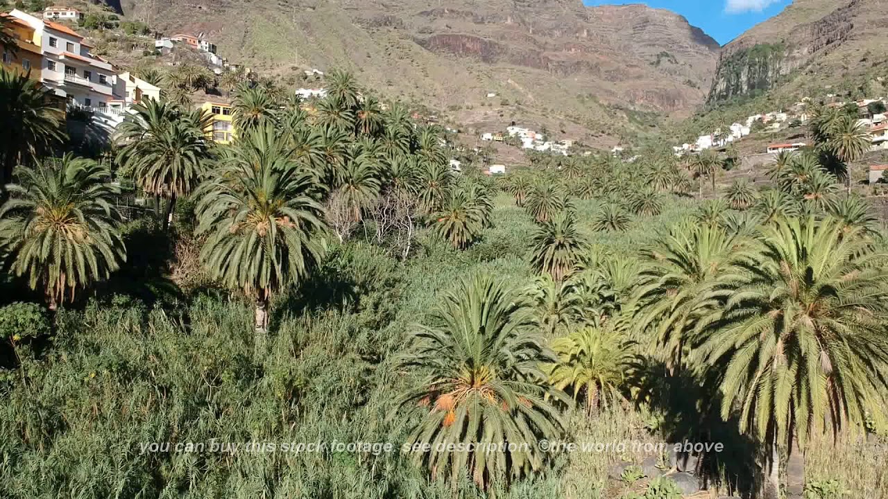 Aerial Drone Footage of Valle Gran Rey, La Gomera 🌄
