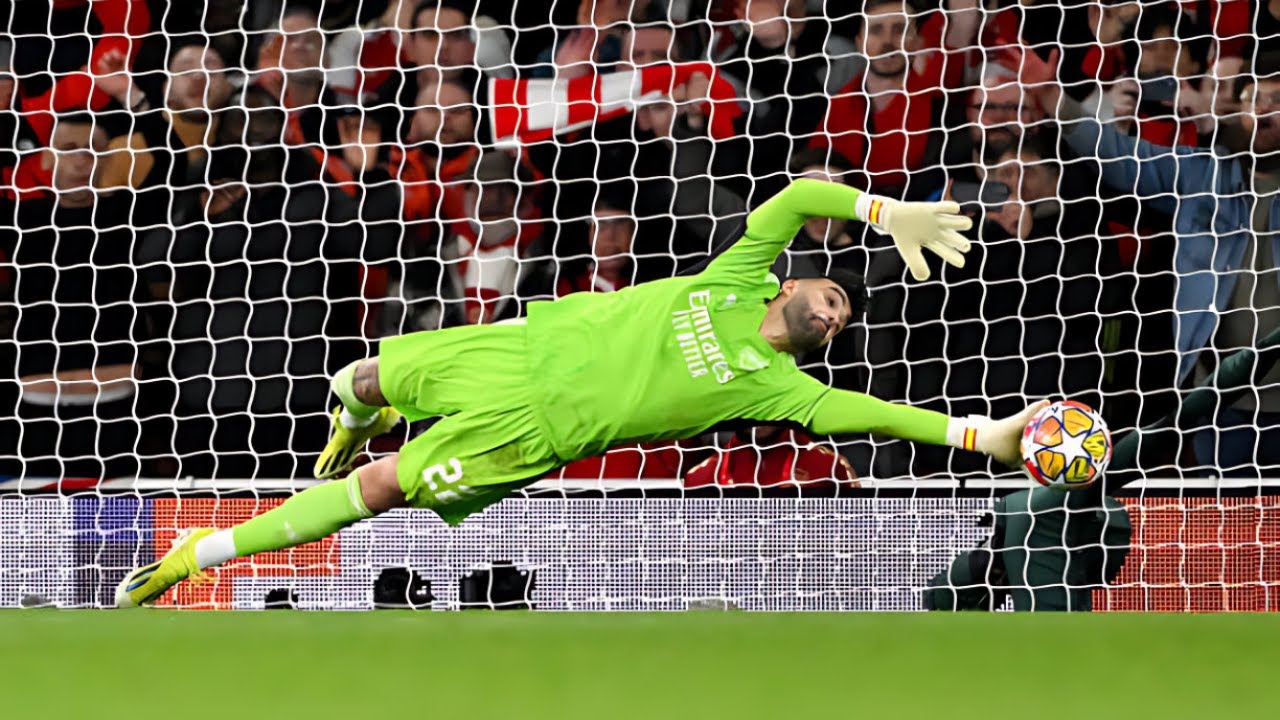 David Raya's Amazing Saves | 2024 HD Highlights ⚽