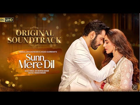 Sunn Mere Dil OST | Rahat Fateh Ali Khan & Cast