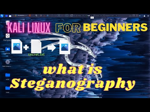 what is Steganography ? | steghide | kali linux for beginners | in hind