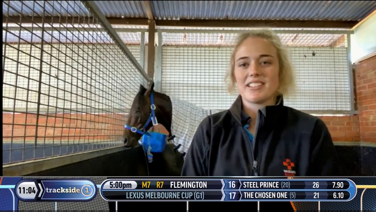 Melbourne Cup 2020- The Chosen One