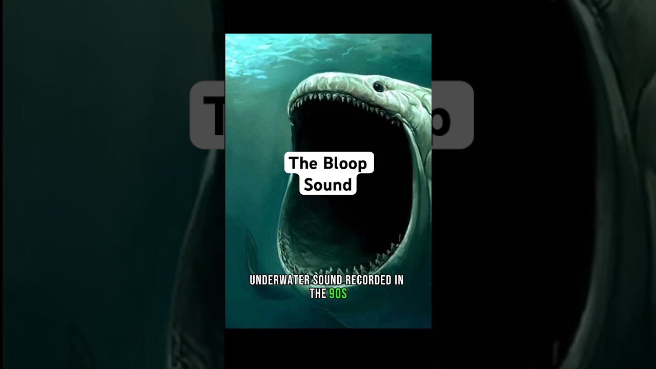 The Bloop Sound Iceberg Explained 🌊