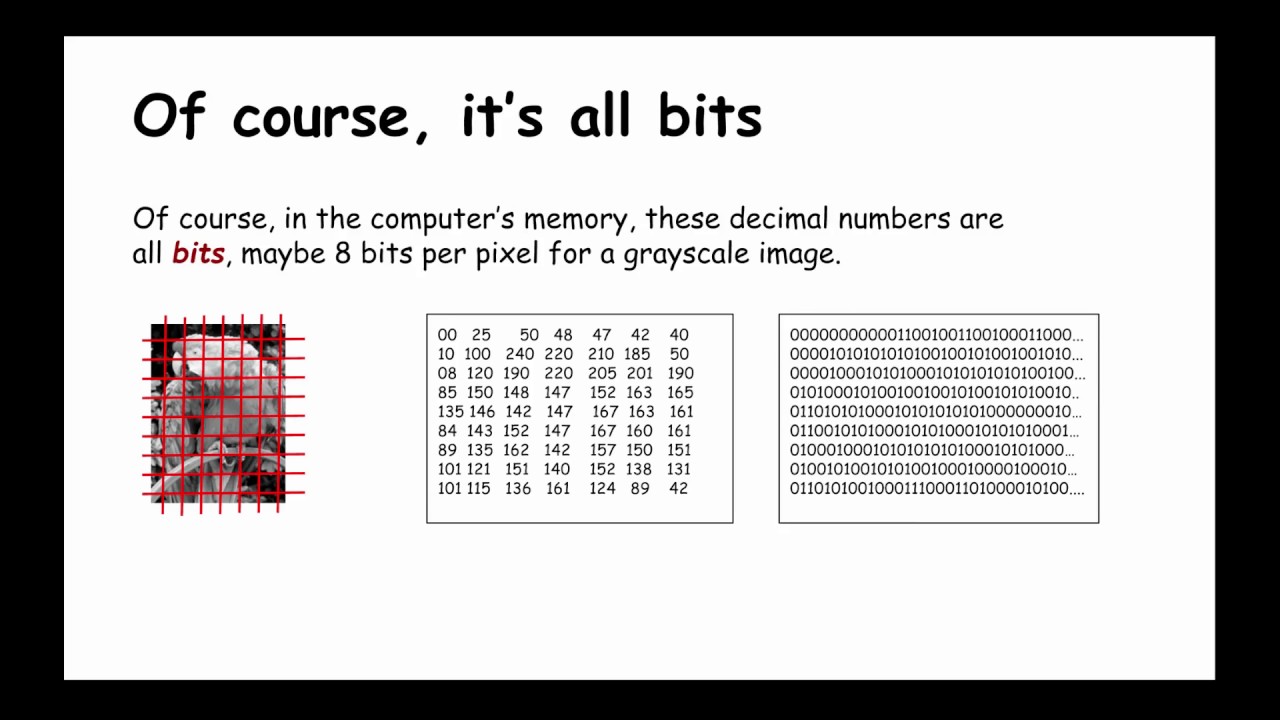 JPEG Lossy Compression Explained: How It Works & Benefits ๐ธ