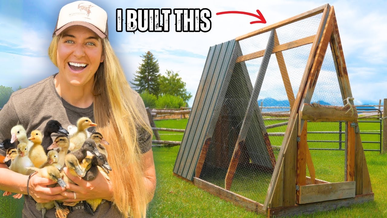 DIY Portable Duckling Coop for Free 🦆
