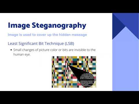 The Fundamentals of Steganography and it's Application to Today's World