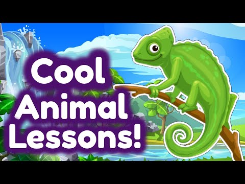 Cool Animal Lessons for Kids | Homeschool Pop