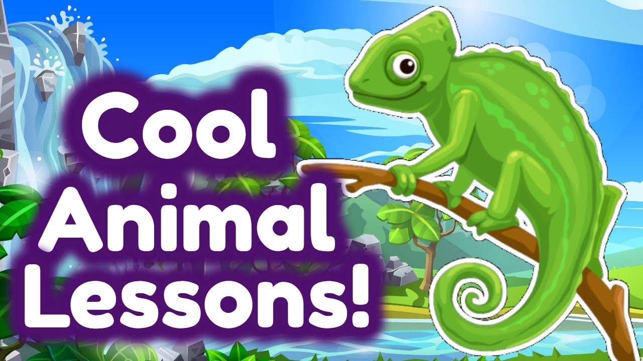 Fun Animal Lessons for Kids ๐พ | Engaging Homeschool Learning