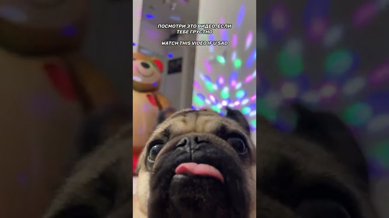 Посмотри это видео, если грустно 🥲