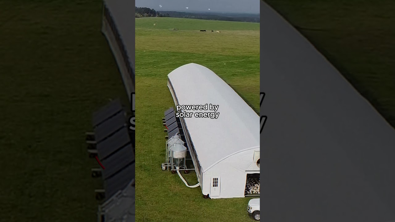 Future of Chicken Farming: Mobile Coops ๐