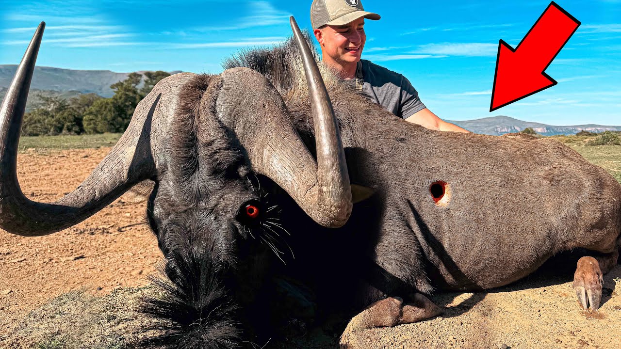 Top 30 Greatest Hunts of All Time! 🏆