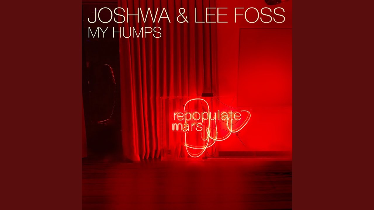 My Humps (Radio Edit) by Joshwa & Lee Foss ๐ถ