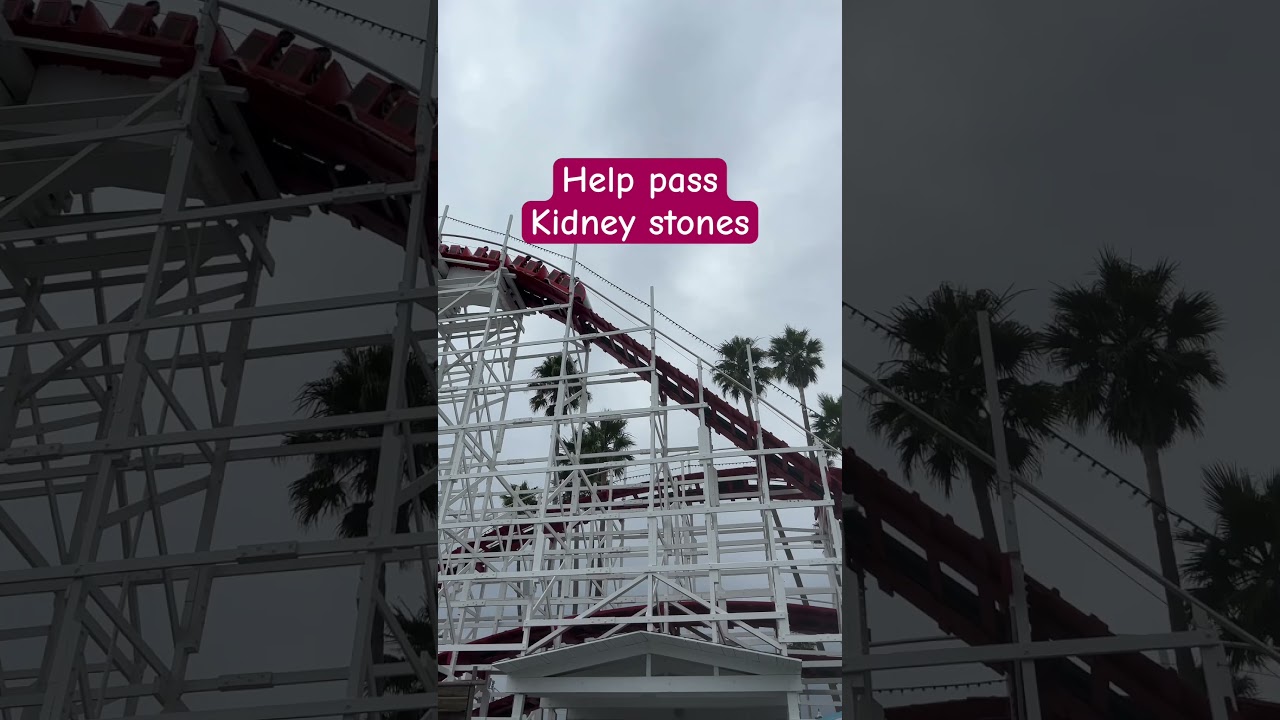 Kidney Stones & Rollercoasters: A Bumpy Ride 🎢