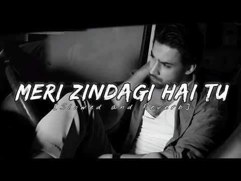 Meri Zindagi Hai Tu - Asim Azhar (Reverb OST) 🎶