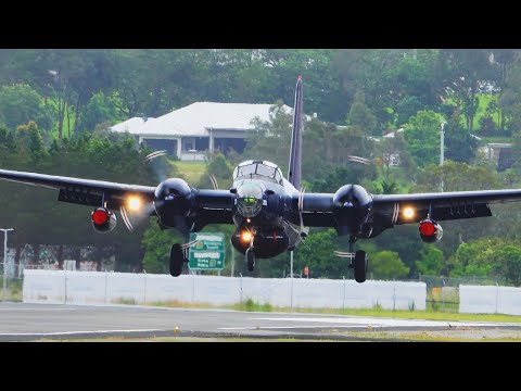 Compilation: Classic Piston Warbirds with Incredible Audio