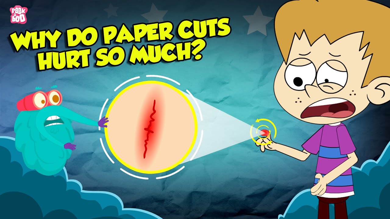 Why Do Paper Cuts Hurt So Much? 🤔