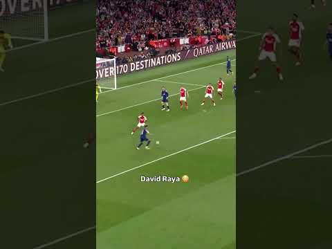 David Raya Incredible Saves Compilation! #football #davidraya #highlights #goalkeepersaves #arsenal