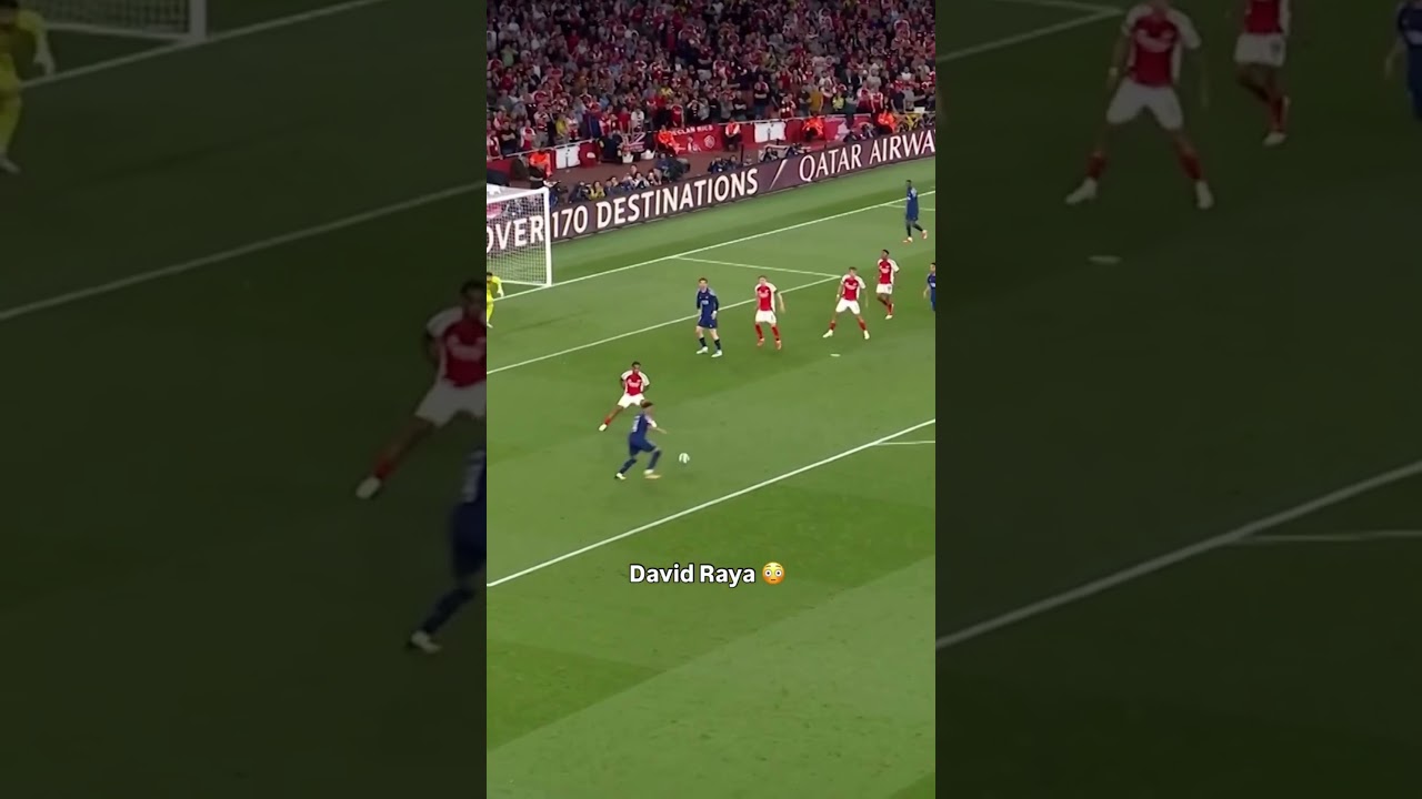 David Raya's Amazing Goalkeeper Saves Compilation! ⚽