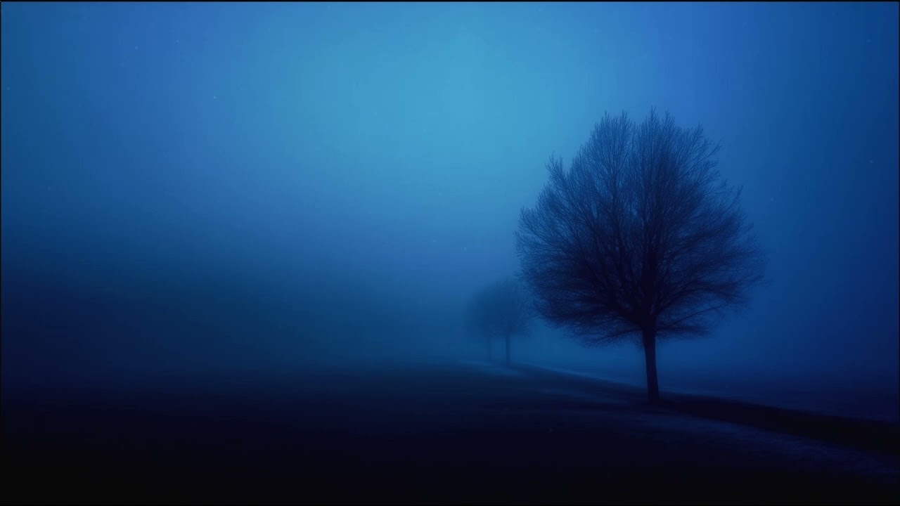 Just Calm Down... 🎶