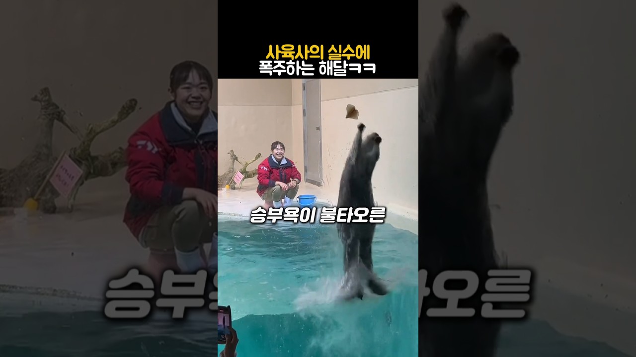 사육사 실수에 폭주하는 귀여운 해달 🦦