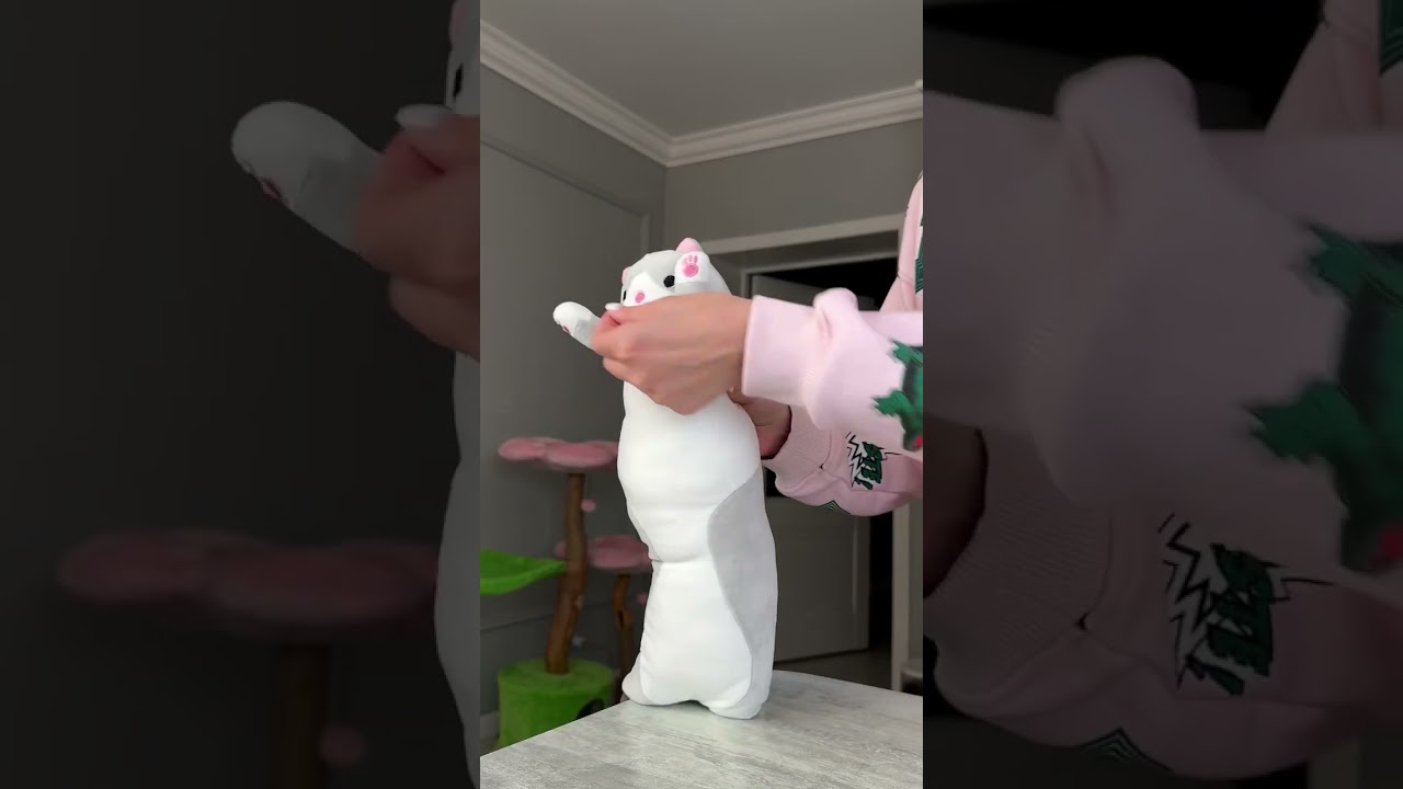 Easy Tricks to Entertain Your Cat 🐱