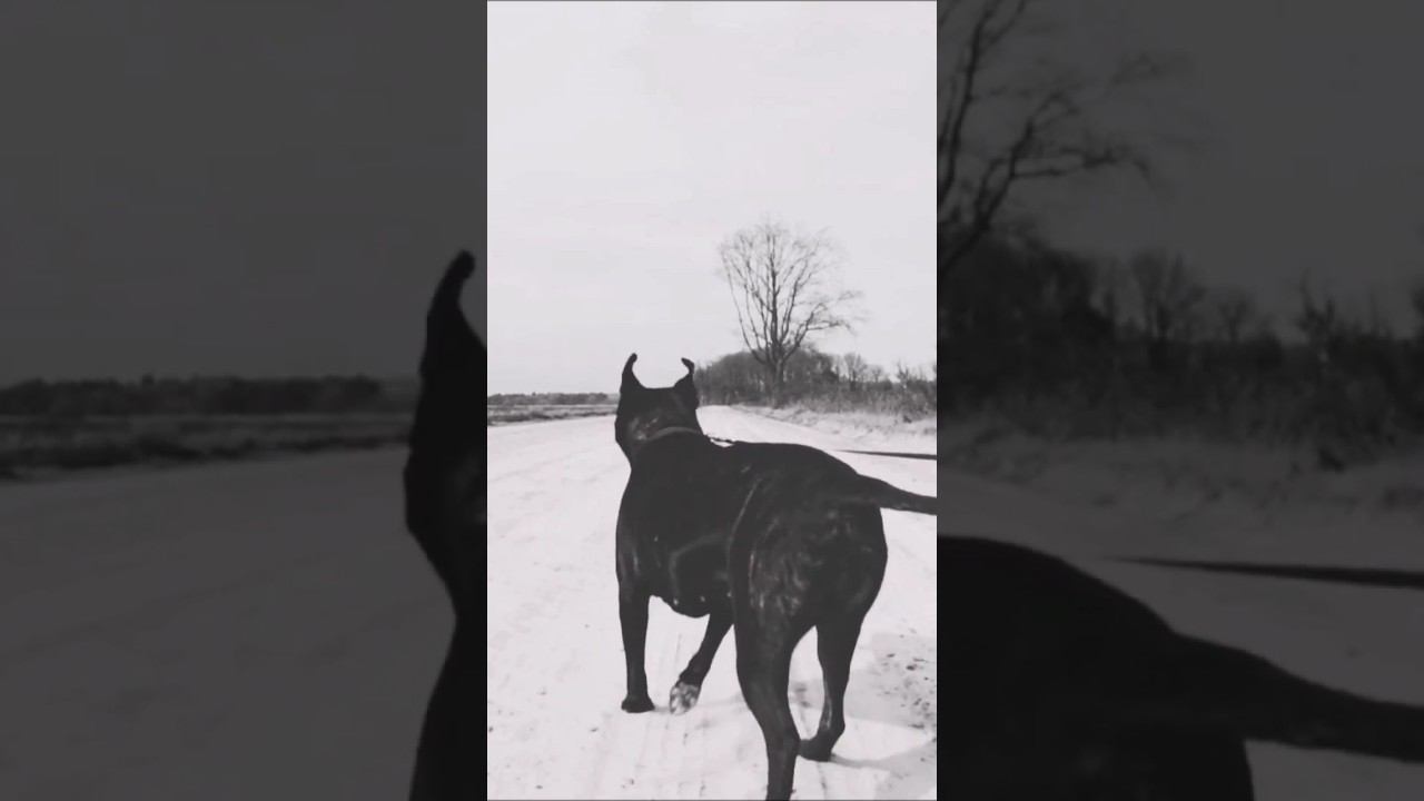 Depeche Mode ULTRA Remixes 🎶